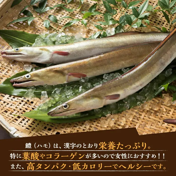 はも鍋 4～5人前 VAG015 はも ハモ 鍋