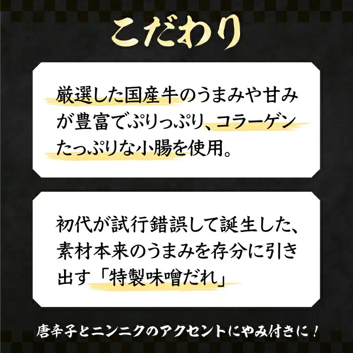 【全国放送】元祖味噌もつ鍋 平壌屋おすすめ 2-3人用 セット 野菜+うどん VAH056 国産牛 もつ