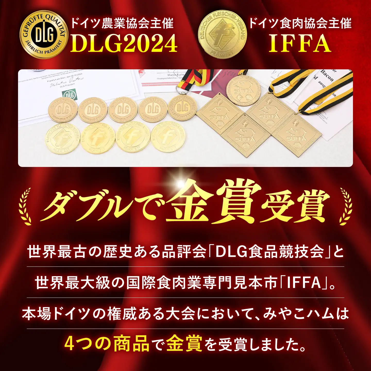 ドイツでW金賞受賞セット 詰め合わせ ギフト ハム ベーコン ウインナー ソーセージ VAN001