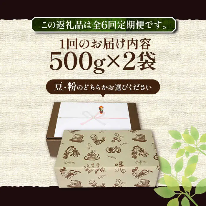 【全6回定期便】【ギフト用】モカ ブレンド ( 中深煎り )[VAS183]珈琲 コーヒー 豆 モカブレンド