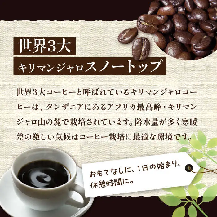 【全6回定期便】キリマンジャロ コーヒー 2種 ( 浅煎り フルーツフレーバー ＆ 中煎り チョコレートフレーバー )[VAS192]珈琲 コーヒー 