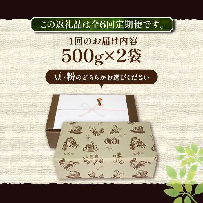 【全6回定期便】【ギフト用】ベーシック ブレンド コーヒー 500g×2 ( 中煎り ) [VAS201]珈琲 コーヒー 