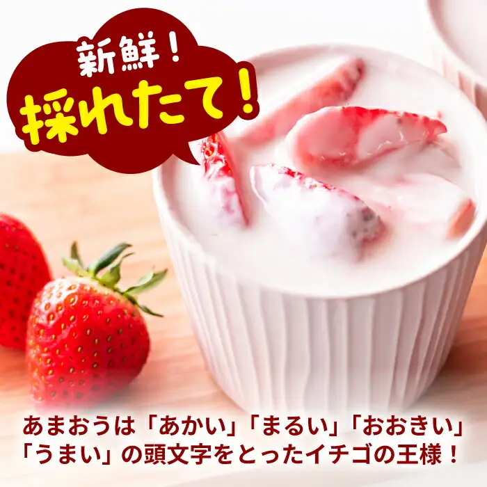 博多和牛 サーロイン 250g×2 & 冷凍あまおう 800g セット[VBB016] 牛肉 サーロイン ステーキ いちご あまおう