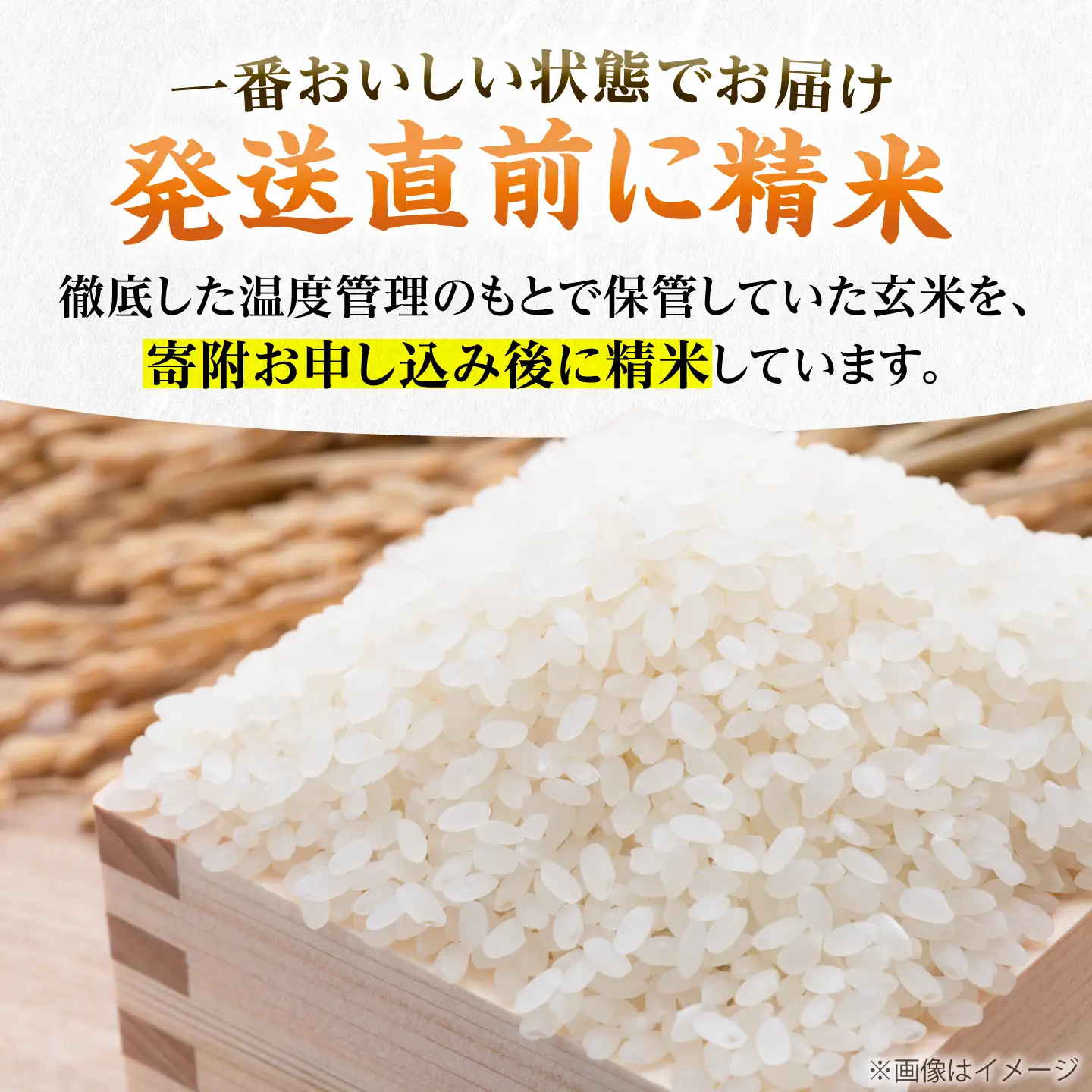 令和8年産 新米 夢つくし 10kg VBC003 新米