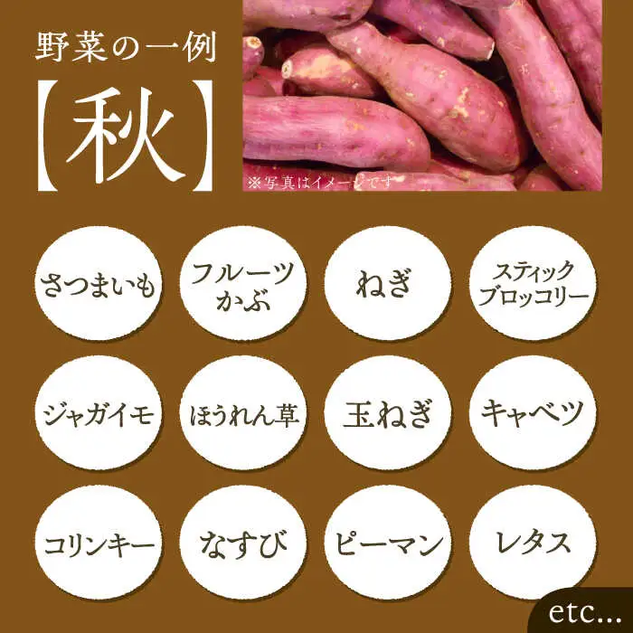 旬の新鮮野菜セット VBE002 野菜 詰め合わせ