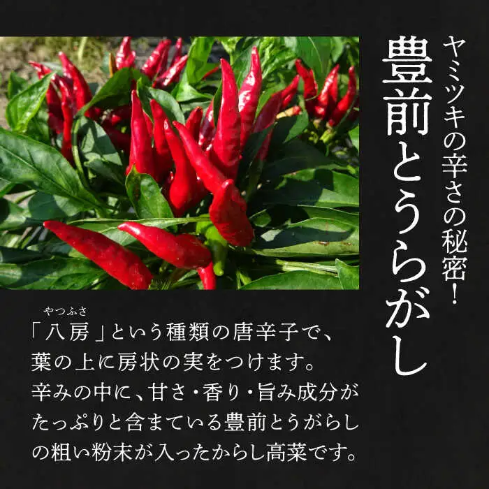 からし高菜120g×6個セット[VBG004]【株式会社瑞穂】
