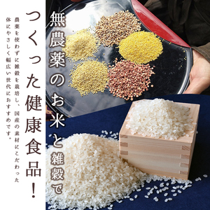 ヴィーガン＆グルテンフリー　米粉と雑穀のクッキー缶