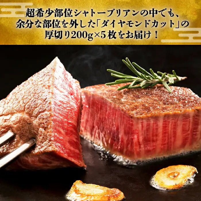ヒレ シャトーブリアン 200g×5枚 [VBK028]ステーキ シャトーブリアン