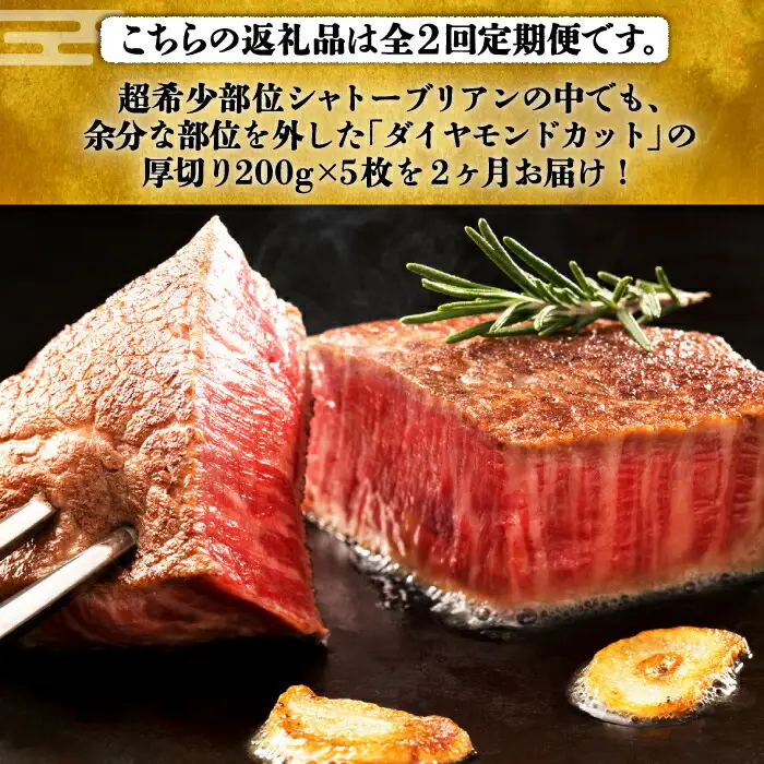 【全2回定期便】博多和牛 牛肉 ヒレ シャトーブリアン 200g×5枚 VBK029 シャトーブリアン ステーキ