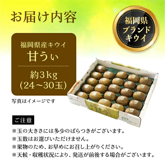 【先行予約】キウイ 約3kg 24-30玉 VBY005 キウイフルーツ