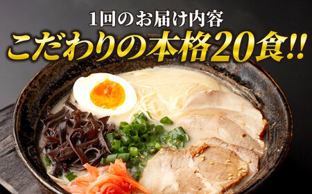 【全12回定期便】久留米ラーメン 20食セット（福岡名物豚骨ラーメン）本格派こだわり半生めん[VCL041]