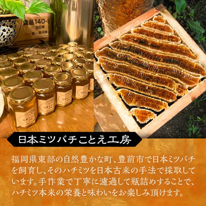 日本ミツバチの蜂蜜 150g×2本 ギフトセット VCM001 はちみつ