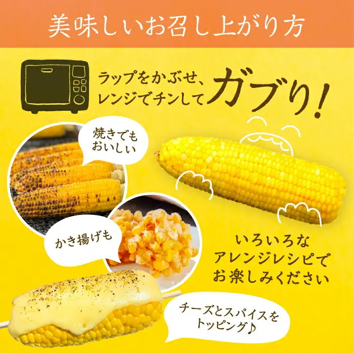 【先行予約】夜明けのスイートコーン 4kg×2箱 14-20本 [VCO002] コーン とうもろこし