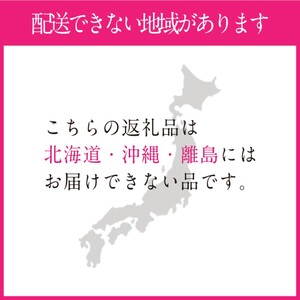 ぶどう 2026年度分 先行予約 【プレミアムシャインマスカット 晴王 2房 約1.2kg】 岡山県産 シャインマスカット