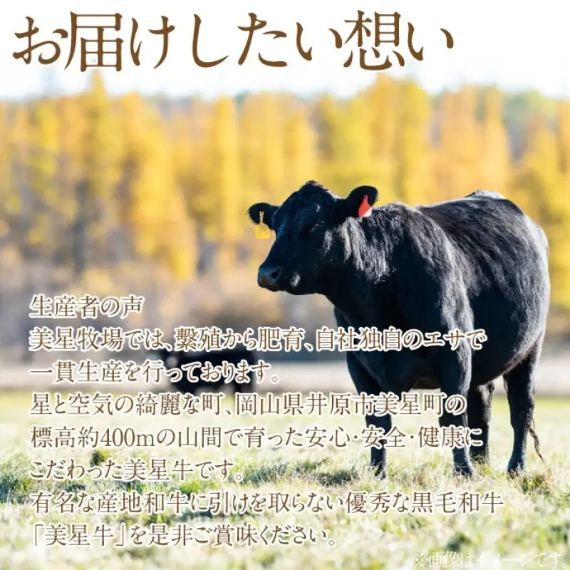 黒毛和牛 サーロインステーキ 約400g （約200g×2パック） 黒毛和牛