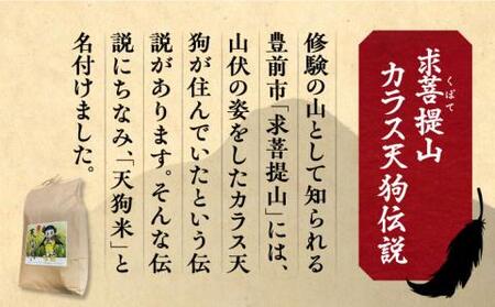 【全12回定期便】令和8年産 天狗米 夢つくし 10kg VCX012 お米 白米 定期便