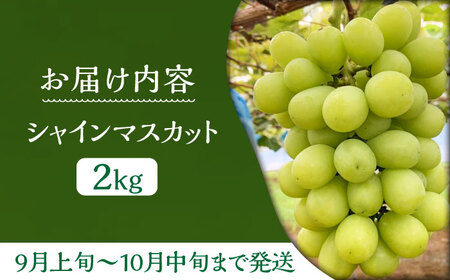 【先行予約】シャインマスカット 2kg VCY005 シャインマスカット