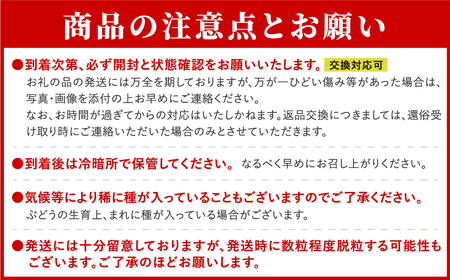 ＼ 先行予約 2026年発送 ／ ゴルビー 約1kg 冷蔵 種無し 種なし シャインマスカット ブドウ ぶどう 品種 果物 甘い 巨峰 美味しい 希少 人気 ランキング おすすめ 家庭用 福島県 田村市  鈴木農園 でんじろうさん 