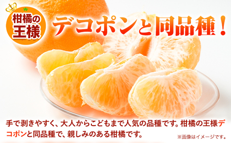しらぬい 秀品 不知火 約 4kg～5kg