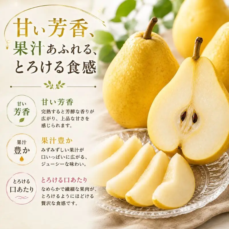 洋梨 長野 贈答用 ル・レクチェ 約5kg （12～18玉） 西洋なし 産地直送 ギフト プレゼント 贈答 贈答品 贈り物 蜜 フルーツ 果物 デザート おやつ 洋ナシ 秋 旬 長野県