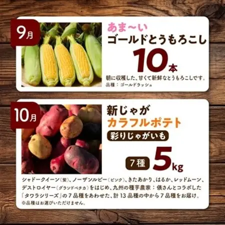 【発送月固定定期便】直送!【北海道の定番便】十勝ガールズ農場の野菜セレクション全3回_野菜 とうもろこし  トウモロコシ  野菜 アスパラガス    野菜 じゃがいも いも ジャガイモ 馬鈴薯  定期便 定期便  _【配送不可地域：離島】【4012917】
