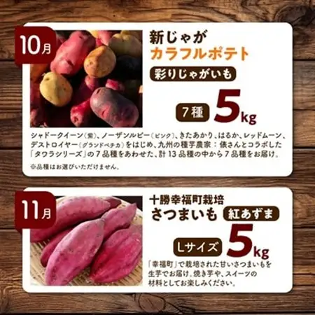 【発送月固定定期便】直送!【北海道を満喫便】十勝ガールズ農場の野菜セレクション全5回_野菜 とうもろこし  トウモロコシ  野菜 アスパラガス    野菜 じゃがいも いも ジャガイモ 馬鈴薯  野菜 さつまいも いも サツマイモ 薩摩芋  定期便 定期便  _【配送不可地域：離島】【4012918】