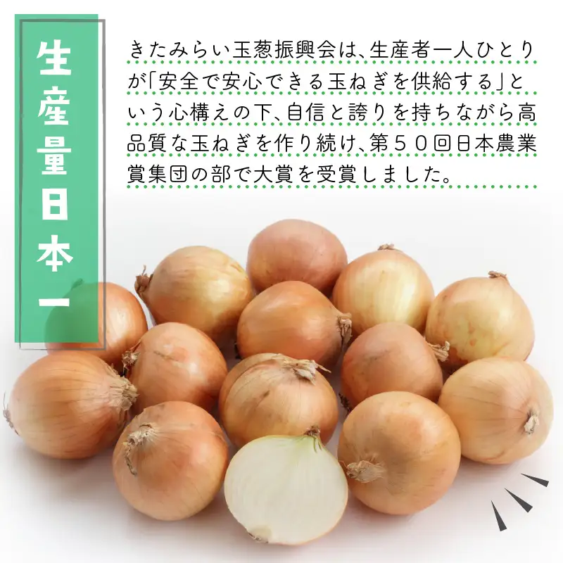 【隔月3回(10月・12月・2月)定期便】JAきたみらいから直送する新鮮玉ねぎ 10kg Lサイズ以上 ( 野菜 定期便 玉葱 たまねぎ 期間限定 )【999-0147-2026】