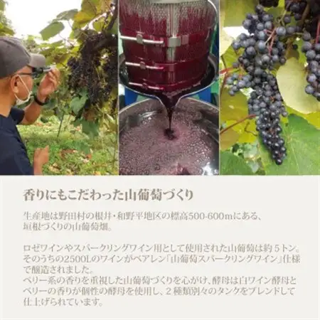 山葡萄スパークリングワイン 330ml瓶　6本セット【1434621】