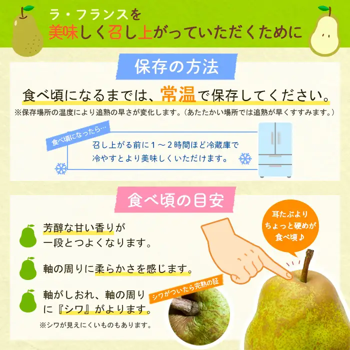山形果実の女王 口どけラ・フランス 秀品 5kg FY24-012