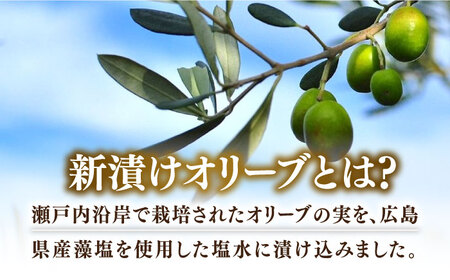 オリーブオイル オリーブの新漬け 65g×3個 オリーブオイル [XAJ012]