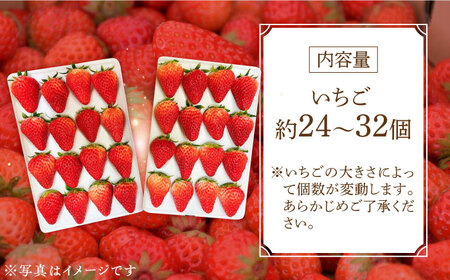 いちご紅ほっぺ いちご イチゴ 苺[XBA001]