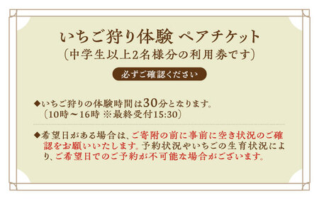 いちご狩り体験ペアチケット いちご イチゴ 苺[XBA007]