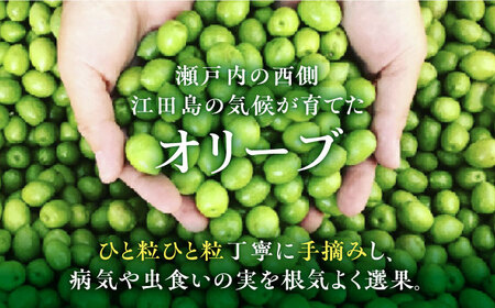 希少な国産オイル！【11月中旬から順次発送】江田島産 オリーブ 塩水漬け マンザニロ種 4つセット（瓶タイプ）  塩漬け サラダ 簡単 広島県産 江田島市/瀬戸内いとなみ舎合同会社[XBB008]