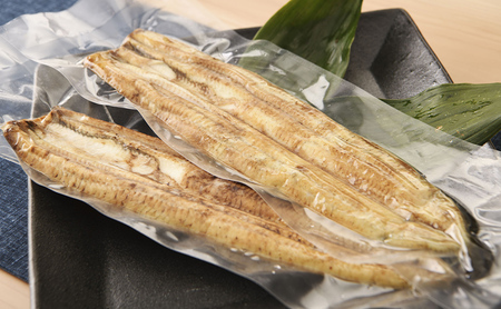 国産手焼きうなぎ白焼き 大サイズ 2本入り 155g以上×2尾 計310g以上 静岡 浜松市 