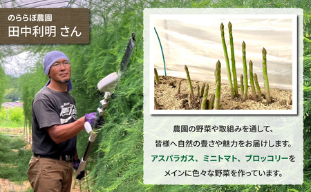 【先行受付2026年発送】農家直送！新鮮！夏獲れ細（M～L）アスパラ約1.2kg（およそ40～60本）｜のららぼ農園 ※2026年7月上旬～9月中旬発送予定