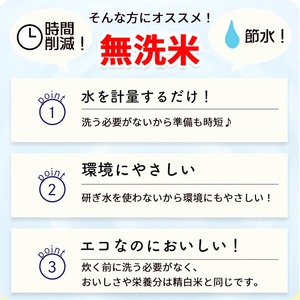 無洗米 10kg 真空パック 京都丹波産 コシヒカリ