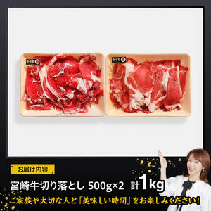 牛肉 宮崎牛切り落とし1kg【 肉 国産 宮崎県産 黒毛和牛 和牛 切り落とし 】