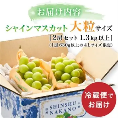 2026年先行予約　9月上旬～10月下旬発送JA中野市大粒 大房シャインマスカット2房1.3kg以上【配送不可地域：離島】【1459211】