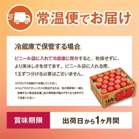 【先行受付】JA中野市「サンふじ」 ご家庭用 訳あり 10kg以上(28～40玉入り)【1481013】