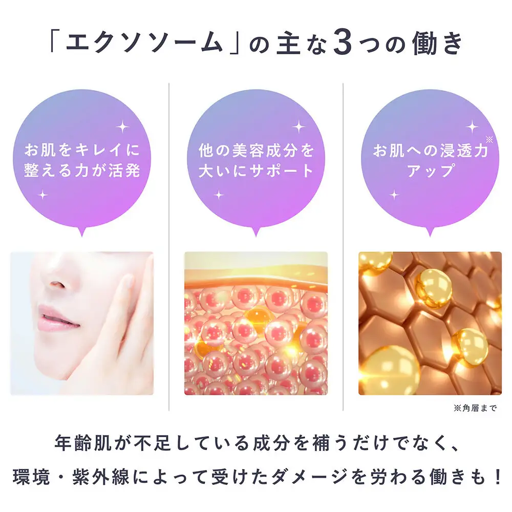 セルコード セラム エクソリッチ（30ml）ヒト幹細胞 原液 ｜ 美容液 保湿 エイジングケア