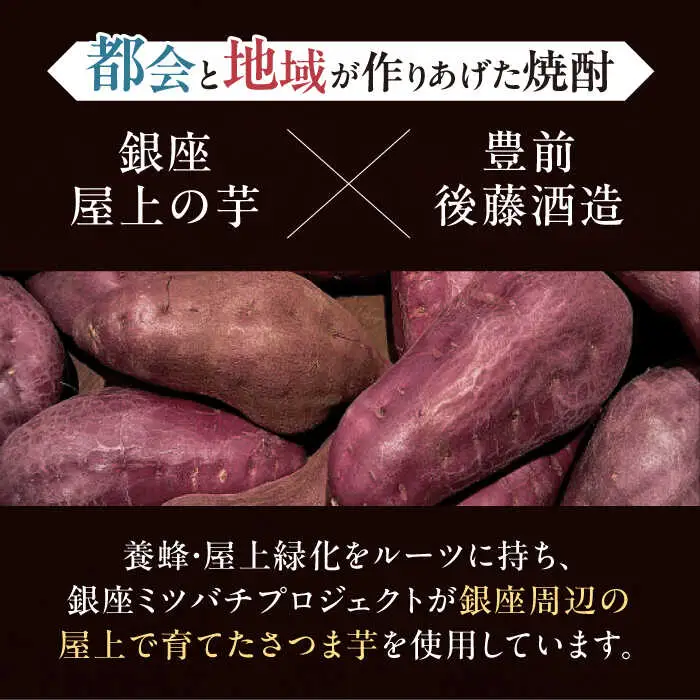 芋焼酎 銀座芋人 原酒 500ml 38度 VDA002 芋焼酎