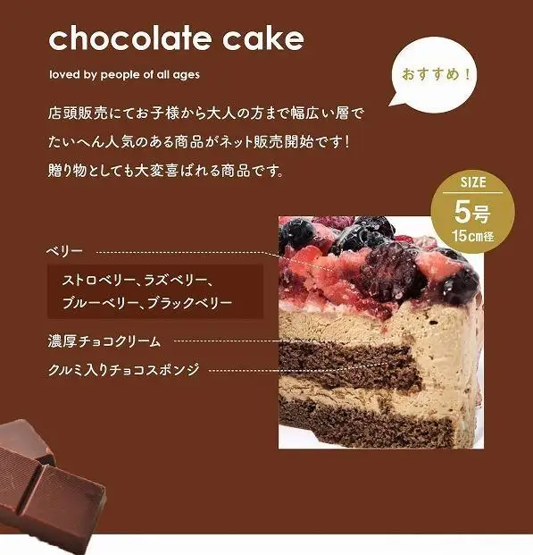 【福岡市】ベリーの濃厚チョコケーキ 5号 15cm径 ストロベリーフィールズ | 菓子 おかし 食品 人気 おすすめ 送料無料