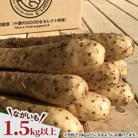  じゃがいも2種+ながいも 計10kgセット　北海道十勝帯広産_野菜 じゃがいも いも ジャガイモ 馬鈴薯  野菜  いも イモ 芋_【配送不可地域：離島】【1497187】