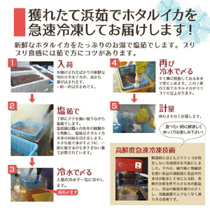日本海産 ボイル ホタルイカ 計500g（250g×2P）【冷凍】【ほたるいか 蛍烏賊 いか イカ 烏賊 海鮮 小分け グルメ おつまみ 肴】 [e04-a109]