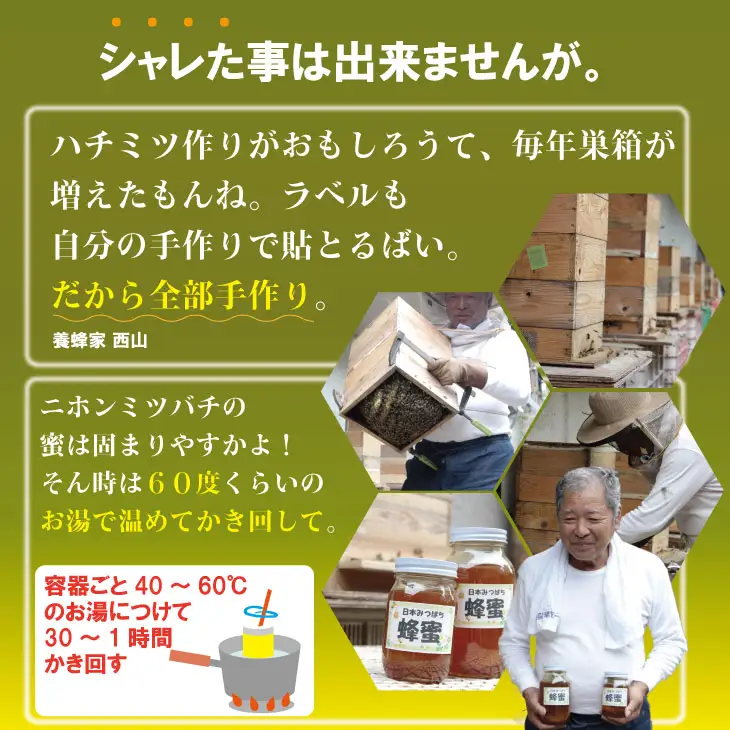 はちみつ 日本蜜蜂 百花蜜 500g はちみつ 国産 B120-080