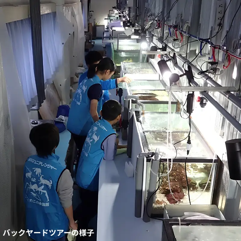 ＼バックヤードツアー付き／　エビとカニの水族館 ペアチケット　【ebk101】
