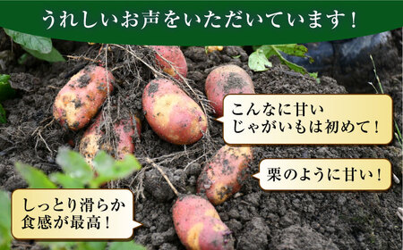 糸島育ちのジャガイモ 2種食べ比べ インカのめざめ インカのひとみ 各5kg・計10kg  糸島市 / 糸島ボンテール農園 [ACO014]
