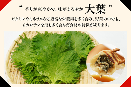 【数量限定】 しそたっぷり肉餃子 2袋 肉餃子30個×2袋 60個 ぎょうざ ギョウザ 餃子 しそ シソ ローズポーク 豚肉 小美玉産 茨城県産 名産 冷凍 17-AN