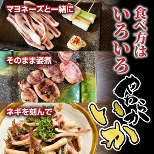 イカ セット(冷風干しカット170g×5・みりん漬け170g×2パック) ｜冷凍 マツイカ いか いか焼き イカ焼き ポッポ焼き いかぽっぽ イカぽっぽ みりん 干し 