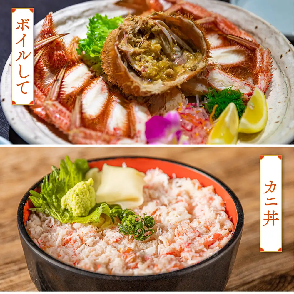【令和9年発送】【訳あり】三陸産 活毛ガニ 1kg(3～4杯)【08】【2027年2月～4月発送】先行予約｜訳ありカニ 国産 冷蔵 三陸 濃厚 かに 蟹 カニ 毛ガニ 毛蟹 毛がに けがに 天然【配送日指定不可】